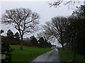 Looe Golf Club Entrance Drive