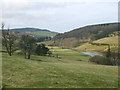 River Don at Haughton