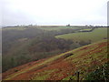 Steep slopes near Tregunnick