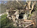 Lime Kiln near Llanarmon yn Ial