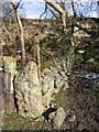 Stone Wall adjacent to Lime Kiln