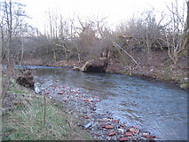 NY4154 : Storm damage on the River Petteril by Phil Williams