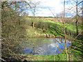 Small mere, near Edleston Brook