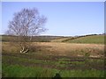 Derrygany Townland