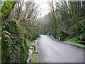 Welsh Country Lane