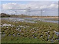 Site of salterns, Lower Test nature reserve