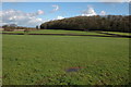 Farmland and Berrow Wood