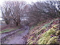 Bridleway by Allt-y-bela