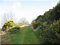 Green lane above the hamlet of Gyrn Goch