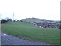 View to Moel Gyffylog