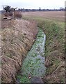 Stream from Fordfield Road