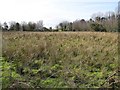 Killymittan Townland