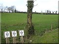 Lisnahanna Townland