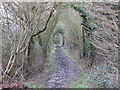 Footpath to Wattlefield