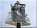 The Pelican, Tacolneston