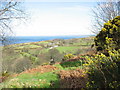 The farmland of Tyddyn Hen from the green lane