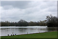 Lake by Laceys Lane