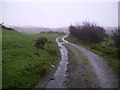 SD3089 : Track, Bethecar Moor by Michael Graham