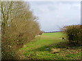 Field alongside the railwayline