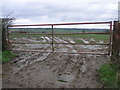 Mud Gate and a View