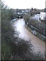 Upstream from the footbridge