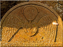 NO7463 : Winged soul, or cherub; Nether Kirkyard, St Cyrus by Martyn Gorman