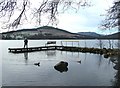 Jetty and Ducks, Loch Earn