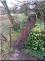 Footpath off Crock Lane, Bridport