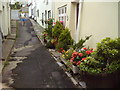 A Steep Street in Appledore