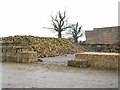 Sugar beet clamp