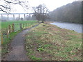 River Ayr Way approaching viaduct near Crawfordston