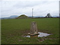 Pen-y-lan trig