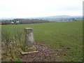 Fair View trig