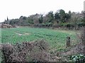 Looking SW along railway embankment