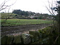 Overton Hall - View across field