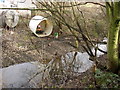 Dam and shelter, Rastrick