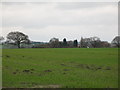 Farmland at Moxby Moor