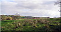 Fields near Waytown, looking south east