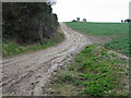 Muddy track across Barrows Hill, looking SE