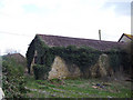 Ivy covered barn, Manor Farm, Stour Provost