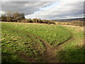 Paths across the field, off Steep Lane, Bradley, Huddersfield