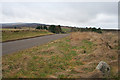 Northbound road near Bow Cottage.