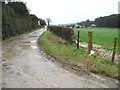 Looking NE towards East Valley Farm