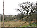 The Rhianfa farm road looking towards the farm gate