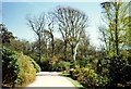 Driveway to Muncaster Castle