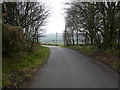 Bassettbarn Lane - Approaching Junction with Alton Lane