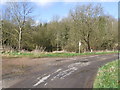 Pond near Mergate Hall, Bracon Ash