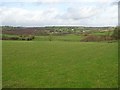 Killymendon Townland