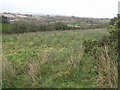 Derrymacanna Townland