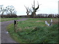 Hill Farm Sign Looking Worse for Wear